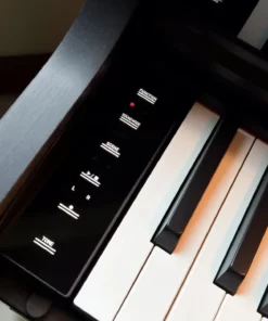 Casio AP-750 Black (BK)
