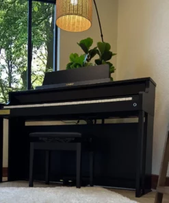 Casio AP-750 Black (BK)