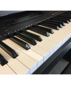 CASIO CDP 235R