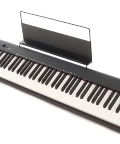 CASIO CDP-S100
