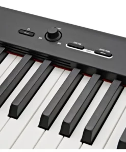 CASIO CDP-S100
