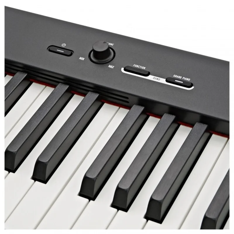 CASIO CDP-S100