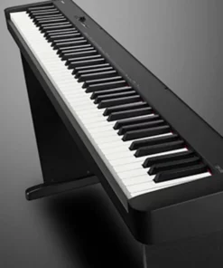 CASIO CDP-S100