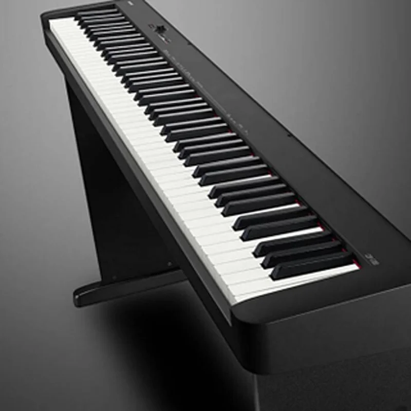 CASIO CDP-S100