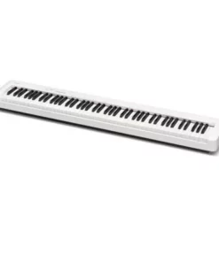 CASIO CDP-S110