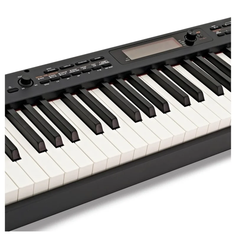 CASIO CDP-S350