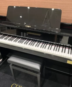 CASIO GP-1000 PE (USED)