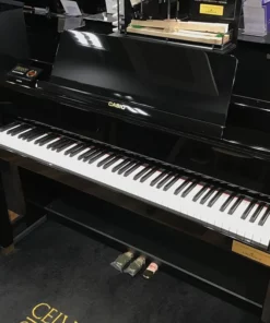 CASIO GP-1000 PE (USED)