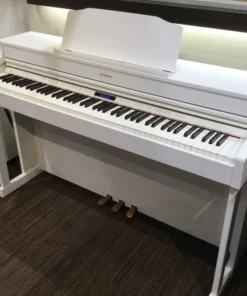 CASIO GP-1000 PE (USED)