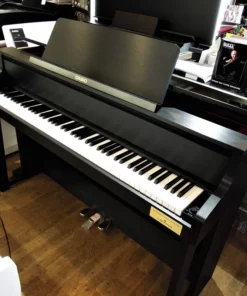 CASIO GP-300 WE (USED)