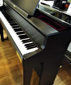 CASIO GP-300 WE (USED)