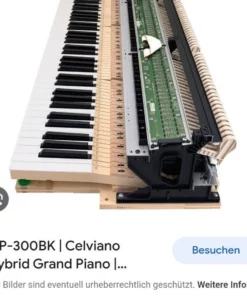 CASIO GP-300 WE (USED)