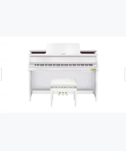 CASIO GP-300 WE (USED)