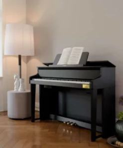 CASIO GP-300 BK (USED)