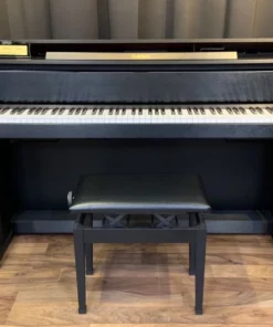 CASIO GP-300 BK (USED)