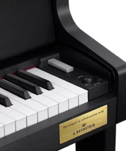 CASIO GP-300 BK (USED)