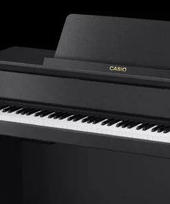 CASIO GP-310 BK