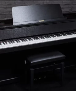CASIO GP-310 BK