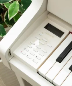 CASIO GP-310 WE