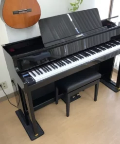 CASIO GP-500 (USED)