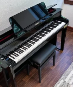 CASIO GP-510