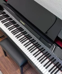 CASIO GP-510