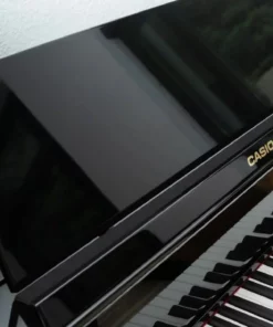 CASIO GP-510