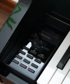 CASIO GP-510