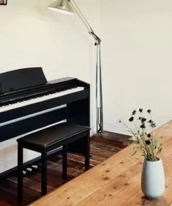 CASIO PX-770
