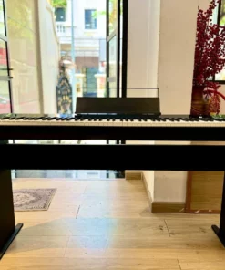 CASIO PX-S1000 BK (Có Chân Gỗ)