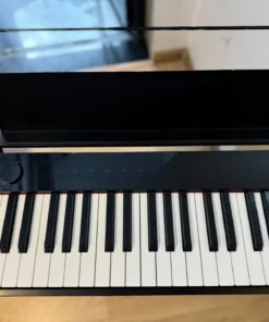 CASIO PX-S1000 BK (Có Chân Gỗ)