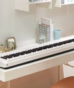 CASIO PX-S1000