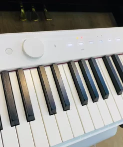 CASIO PX-S1000