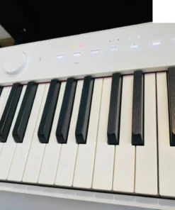 CASIO PX-S1000