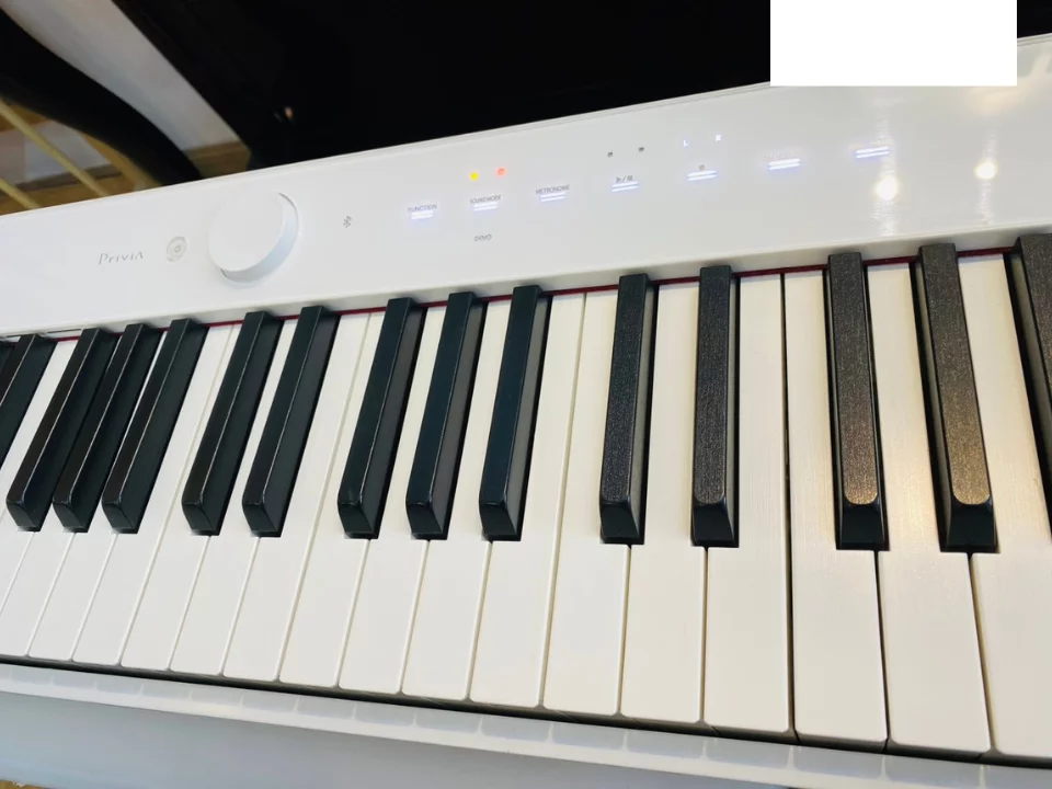 CASIO PX-S1000