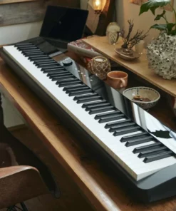 Casio PX-S1100