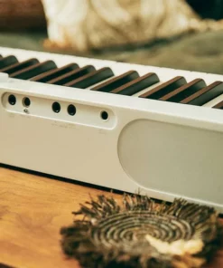 Casio PX-S1100