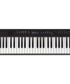 CASIO PX-S3000