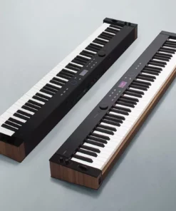 CASIO PX-S6000