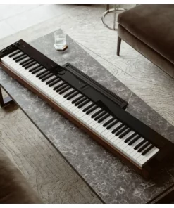 CASIO PX-S6000