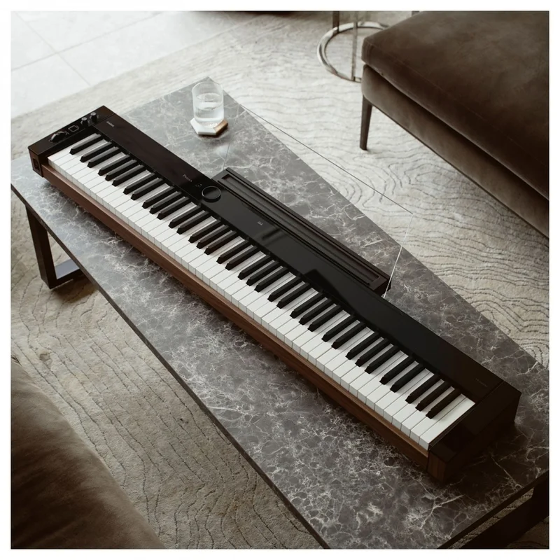 CASIO PX-S6000
