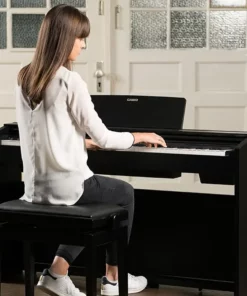 CASIO PX-870