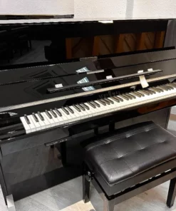 Schimmel Classic C116 Modern (Brushed oak and black polished wood)