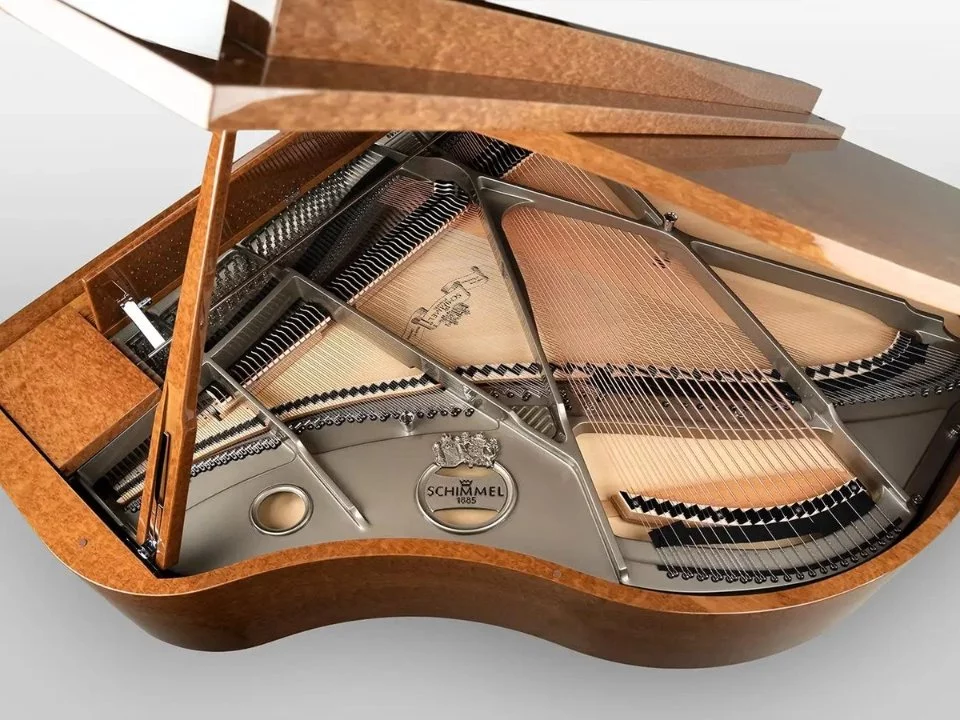 Schimmel Classic C169 Eucalyptus – Toàn cảnh thiết kế tại Nah Music