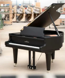 Schimmel Classic C169 The Black Pearl
