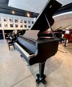 Schimmel Classic C169 The Black Pearl