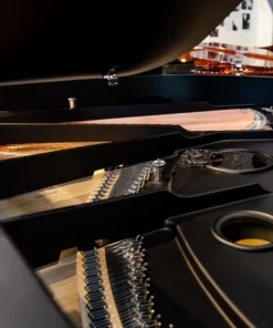 Schimmel Classic C169 The Black Pearl