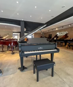 Schimmel Classic C169 The Black Pearl