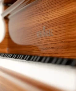 Schimmel Classic C169 Zebrano