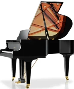 Schimmel Classic C169 Tradition